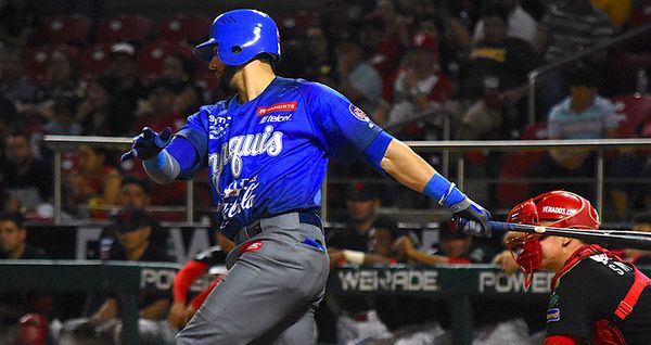 YAQUIS SALE DEL TERRITORIO DE VENADOS CON CACERÍA COMPLETA