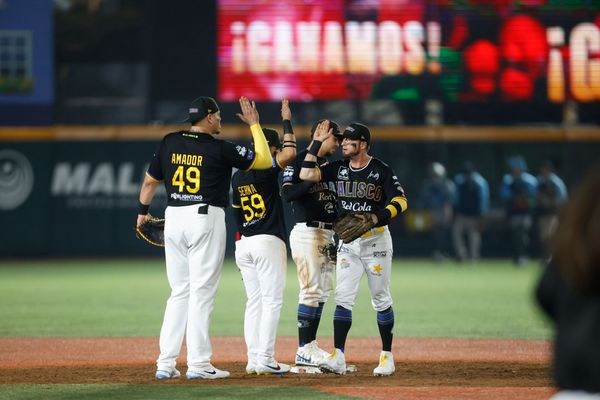 Liga Mexicana de Beisbol, Sitio Oficial